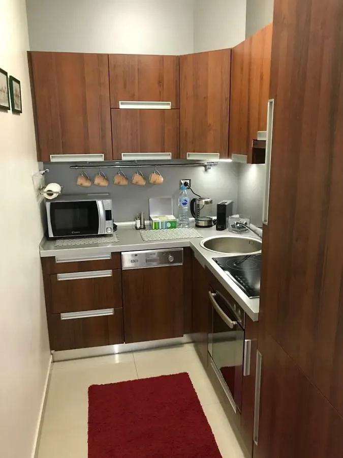 Apartman Astor Špindlerŭv Mlýn